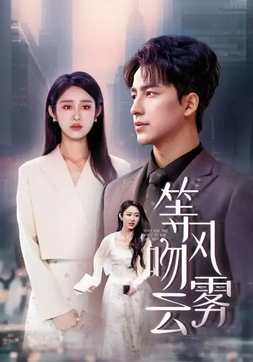 雾港黎明 热播电视剧全集手机免费在线观看